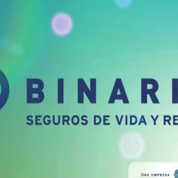 BINARIA S.A. (CHILE)